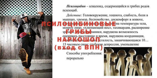 ECSTASY Абдулино